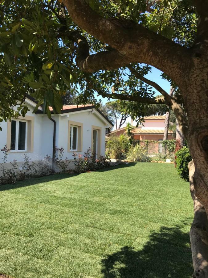 Il Miraggio Hotell Fregenae Exteriör bild