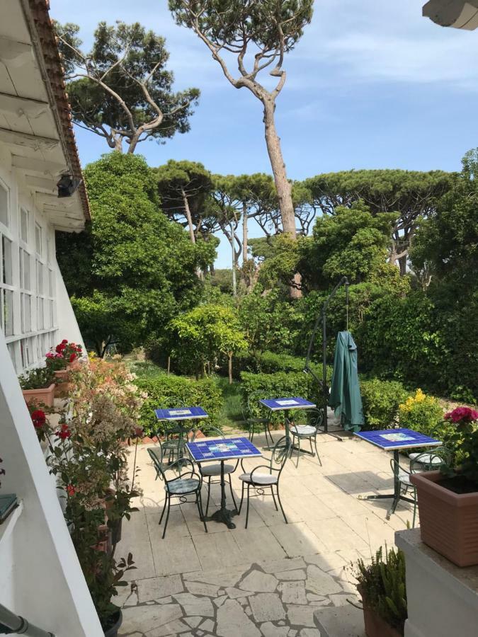 Il Miraggio Hotell Fregenae Exteriör bild